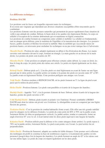 Karate Techniques Pdf